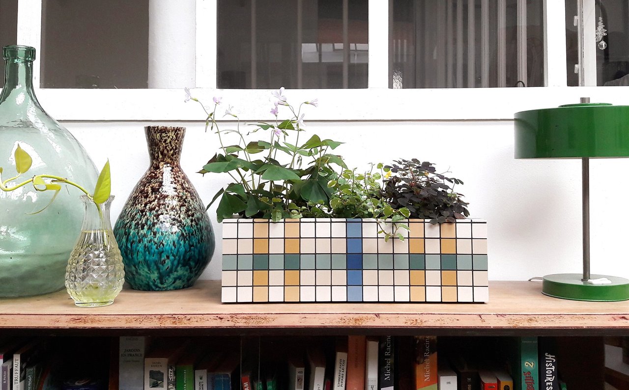 Maceteros de diseño para potenciar la belleza de tus plantas de interior
