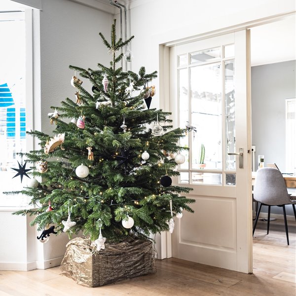 Ilumina y decora esta Navidad con las novedades de Zara Home y El